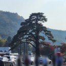 배영숙 산야초밥상 네이버블로그