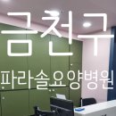 파라솔요양병원 네이버블로그