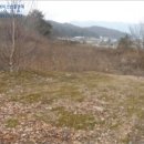 김삿갓면-0 이미지