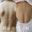 지엘(Xiel) 이미지