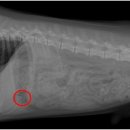유앤동물병원 이미지