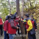 거창군정신건강복지센터 이미지