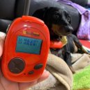 양주배리어프리영화제 | 모두가 함께 보는 배리어프리 영화, 제주스펙트럼영화제 2일차 후기