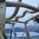 별이네농장 이미지