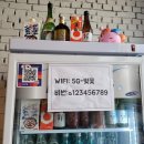 벚꽃회전초밥