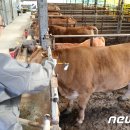 대구축산 동물병원 이미지