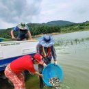 공공용 9 뉴스1