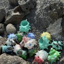 원빈(1bean) 이미지