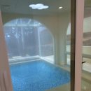 동인자동차정비 | 경주 아이랑 가기 좋은 키즈 풀빌라🌴 [까사멜로우A룸+번외 버드파크🦜]