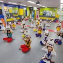 은평 백호 태권도장 이미지