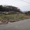 (주)화제인 Daum카페