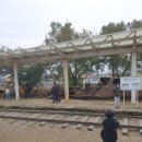 일지매 여행사 이미지