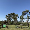가-36 | 강화도 아이랑 가볼만한곳 강화루지 ｜ 36개월 아이와 방문 내돈내산 후기