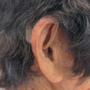 공주보청기 | 어머님 보청기 다시 맞춘 공주보청기 후기