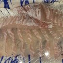 부산실내바다낚시터 이미지