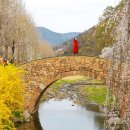 창녕 영산 만년교 이미지