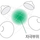 (주)영인바이오텍 이미지
