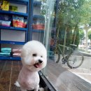 광희동물병원 이미지