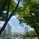 하나유외과의원 | 달리기할 때 무릎이 아프다면? 필수 스트레칭 5가지!