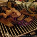 서래갈매기 이미지