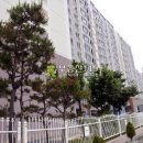 차성남로 이미지