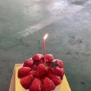 행운의 시간들