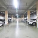 도담동늘봄초등학교 이미지