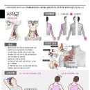 봉담정성365한의원 이미지