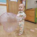 리틀하버드어린이집 이미지