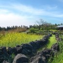 제주미니호텔 이미지