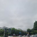 야탑초교 앞 이미지