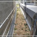 신성교회 이미지