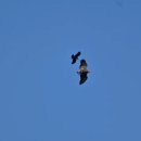 전세역전 이미지