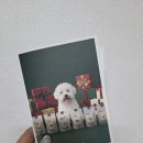 지연이네 강아지 고양이 수제간식 | 강아지 간식 추천, 도그말리온 강아지 수제간식 5종 세트 솔직후기