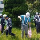 카길퓨리나 이미지