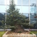 정원식당 앞 이미지