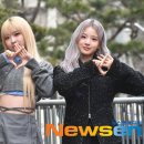 라잇 이미지