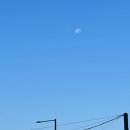 원조숯불바베큐 이미지