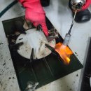 세정식품 | [공지] 의성청소업체 식품제조공장 청소 후기｜환풍기 문제까지 해결한 의성공장청소 현장