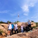 씨너지핏 이미지