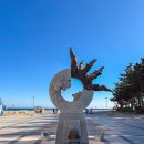 속초사잇길 제5길 | 속초 당일치 겨울 바다 여행 속초 해수욕장 해변 추천