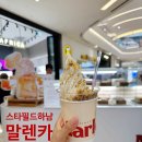 골든베어스타필드하남 | 말렌카팝업스토어스타필드하남점 말렌카팝업 방문 후기, 꿀케이크부터 말렌카 아이스크림까지