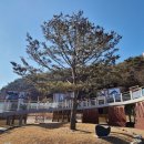 장재리1980-3 이미지