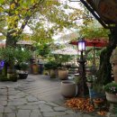 민들레울 이미지