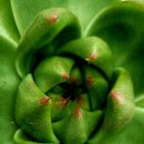 엘도라도 이미지