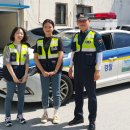 벌교여자고등학교 이미지