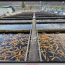 태백산오는길 이미지