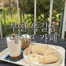 식물카페초록 | 부천 옥길동카페 에이프/ 초록초록한 식물카페 솔직후기:)