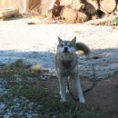 고노골농장 이미지