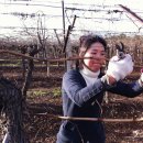 하궁농장 이미지